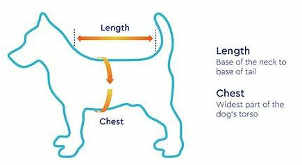 small-dog-measuring-diagram.png