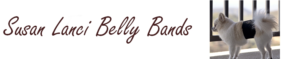 susanlanci-bellyband-1000.200.free-stylefont.jpg