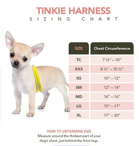 tinkie-harness-sizing.3-500.jpg