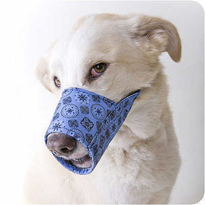 material dog muzzle