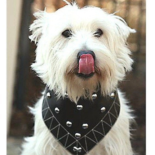 Biker Boy Dog Bandana  Bandabling at PupRwear