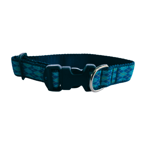 Florida Gators Ribbon Dog Collar - Large - Officially Licensed Collegiate Pet Gear