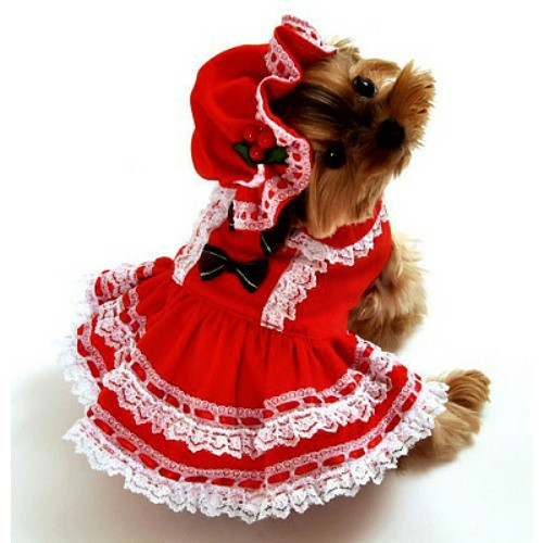sachin and babi light blue dress Wholesale Holiday Dog Harness Dress - Holly for your store main image 1