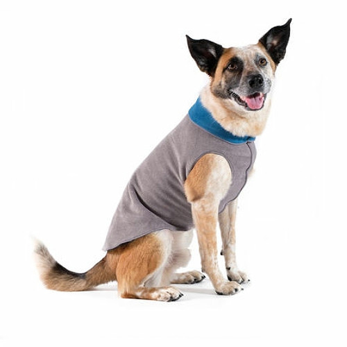 PupRwear Designer Dog Clothing, Doggie Couture