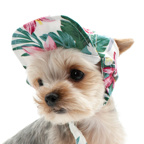 Dog Hat for Extra Small Dogs to Wear Puppy Bucket Hats with Ear Holes and  Chin Strap Dog Visor Hat Beach Sun Protection Baseball Cap for Terriers Pug