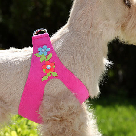 Susan Lanci Designs Perfect Pink Collar