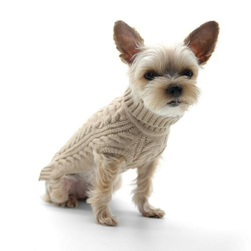 Beige Cable Knit Dog Sweater | Dogo Pet Fashions at PupRwear