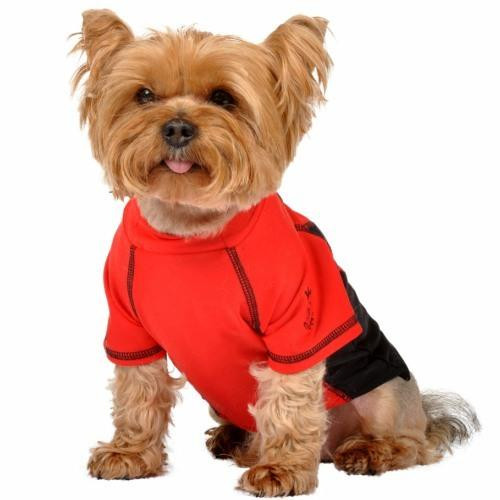 Red & Black Rash Guard Dog Shirt | Max's Closet at PupRwar