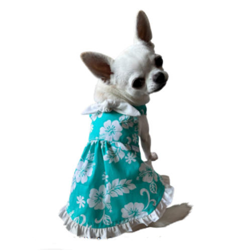 Designer Luna Blue Dog Dresses | PupRwear Dog Boutique