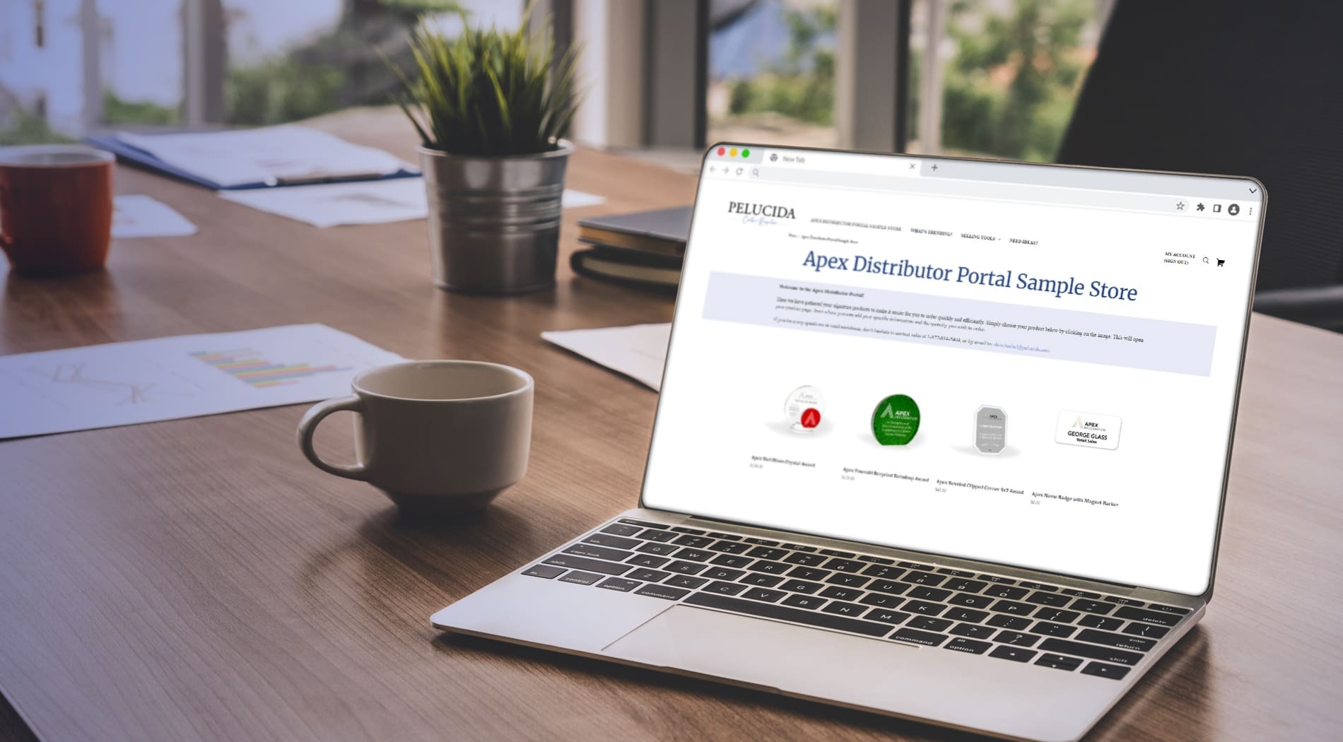 Pelucida Distributor Program