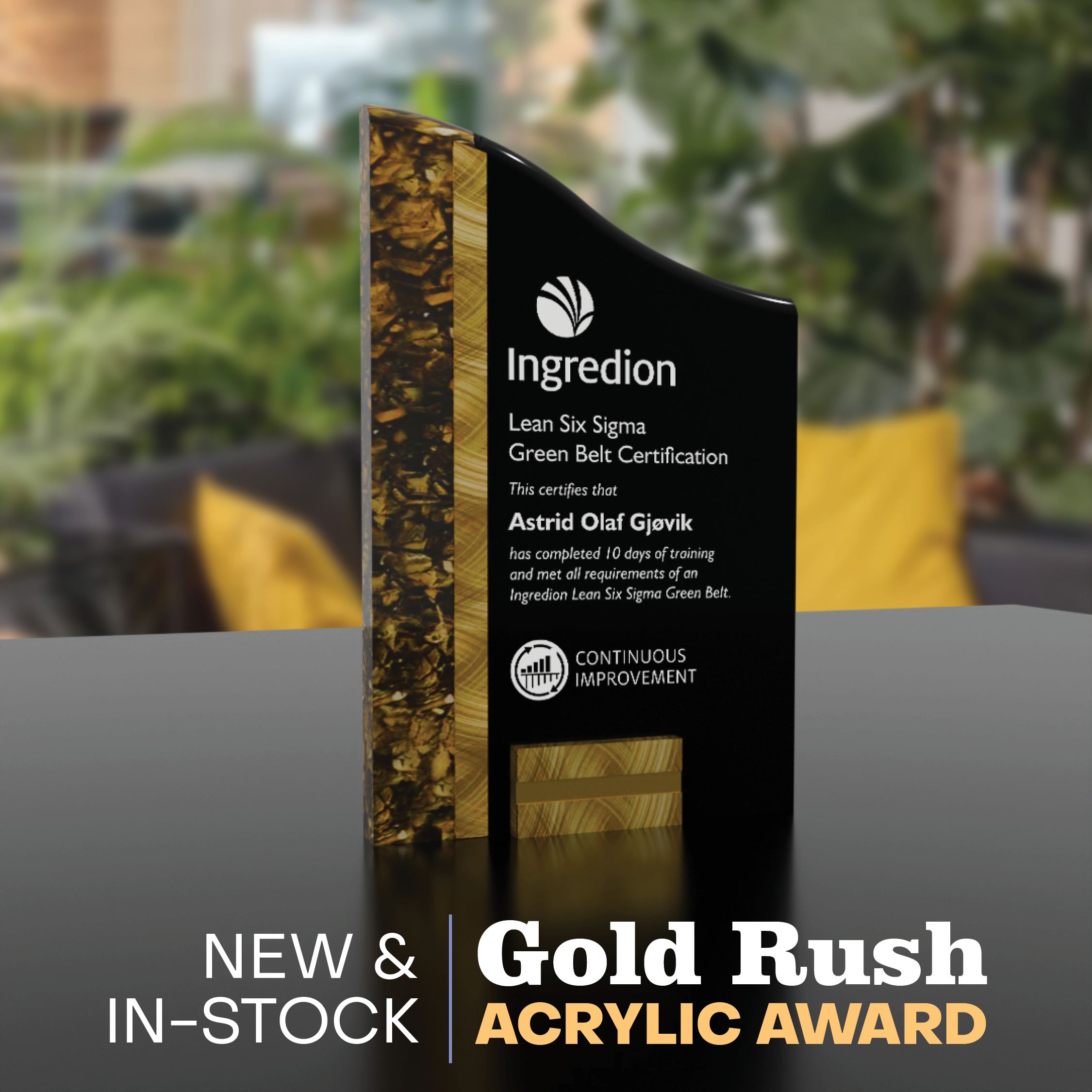 Gold Rush Acrylic Award