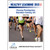 Chasing Pheidippides: Marathon Training 101