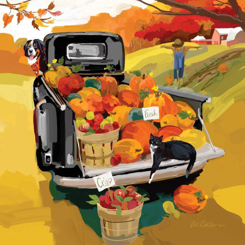 New Paperproducts Design Fresh Pumpkins 3-Ply Paper Beverage Napkins, 20 Count