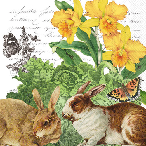 IHR Spring Woodland Bunny Cabbage Scene 3-Ply Cocktail Napkins, 20-Count