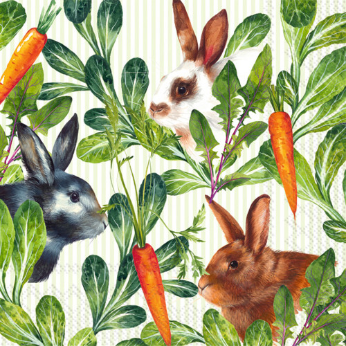 IHR Spring Garden Bunny Carrots 3-Ply Paper Cocktail Napkins, 20-Count