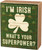 Primitives by Kathy 2 Piece St. Patrick's Day Decor Set, Towel and Sign