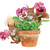 New Flower Pot Backyard Friends Paper Lunch Napkins 6.5" x 6.5" Squirrels 20-Ct