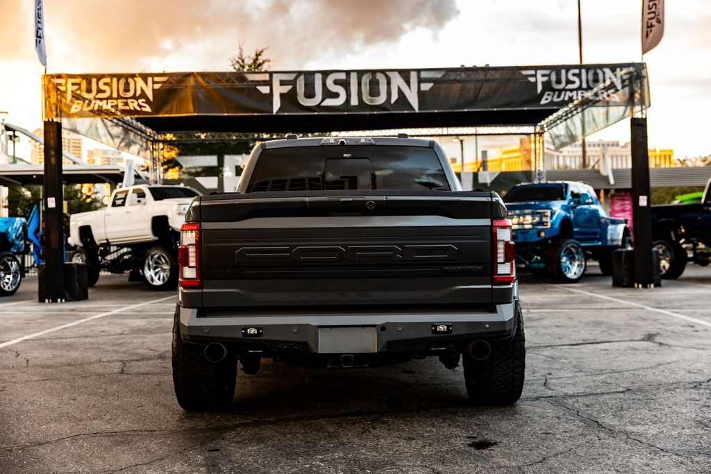 Optional Rigid Industries SR-M Flush Mount lights 
Provisions for back  up sensors