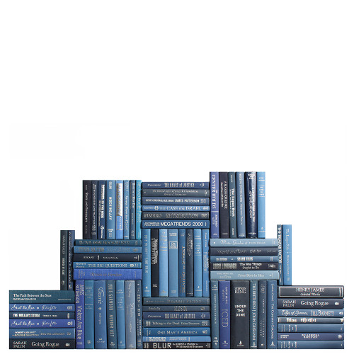 Modern Denim & Silver Book Wall, S/75