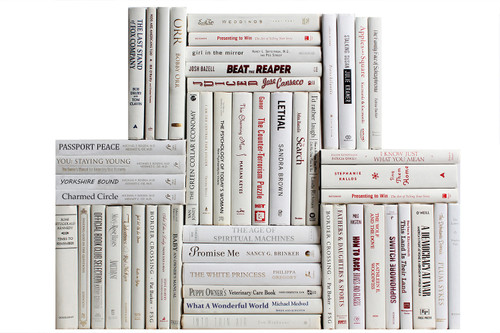 Modern Snowfall Book Wall, S/50