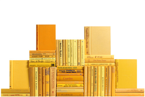 Modern Daffodil Book Wall, S/50