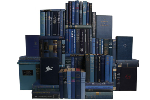 Midcentury Denim Book Wall, S/100