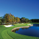 Westin Innisbrook - Copperhead Course