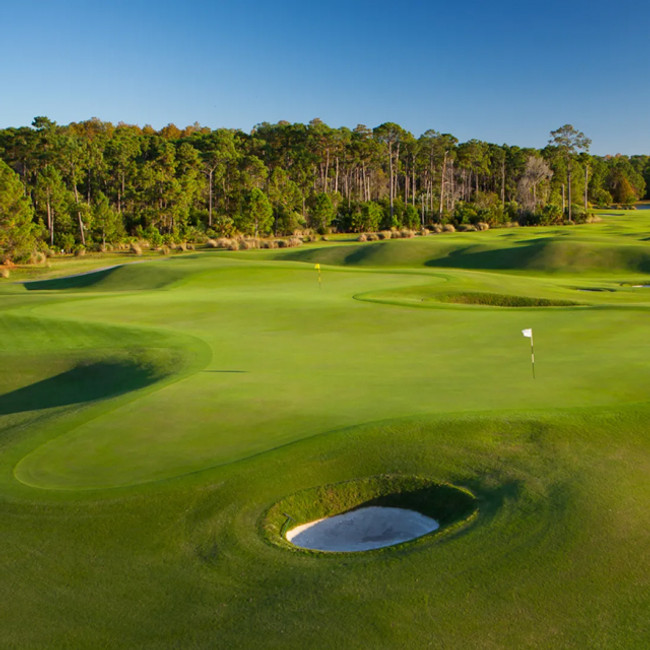Grand Cypress Resort - New Course