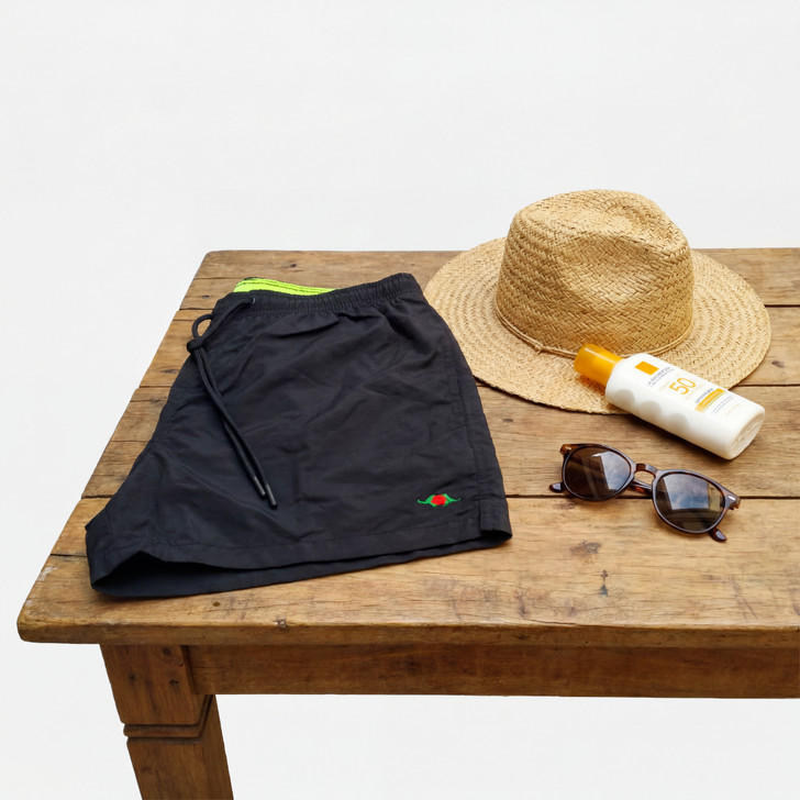 Beach Shorts Icon