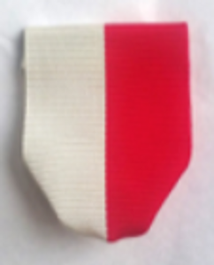 Drape-Aggie Lifesaving