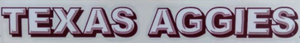 Decal-TX Aggies 3D