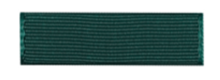 Ribbon-Class Council Officer