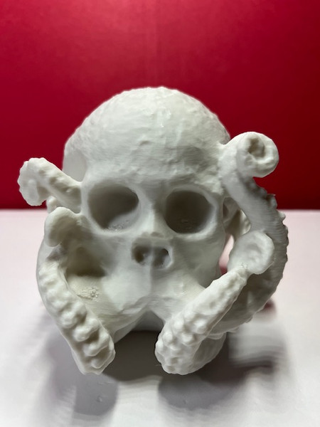 Octo-Skull 3D Model