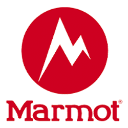 Marmot