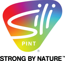 Silipint