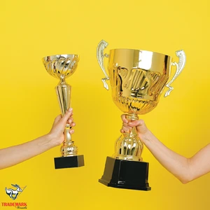 Customer Champion Programs