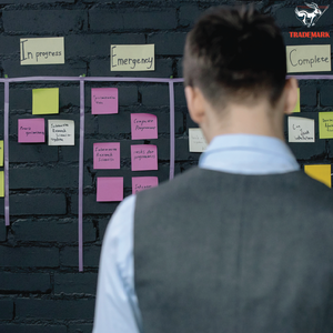 Implementation and Project Completion