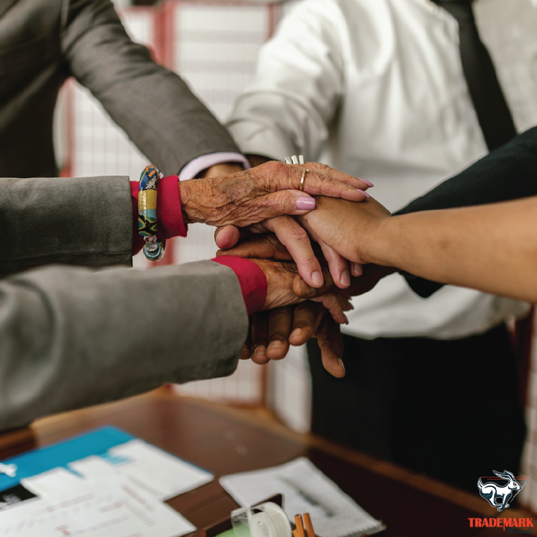 Strategic Alliance Programs