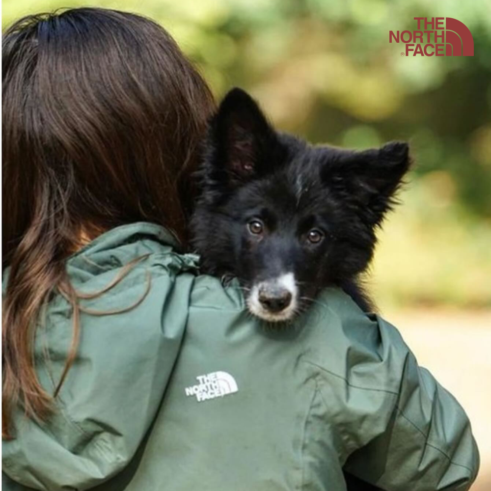 The North Face The North Face