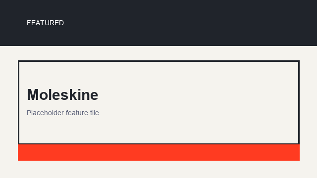 Moleskine