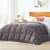 King Size All Seasons Plush Light/Dark Grey Reversible Polyester Down Alternative Comforter Q280-KILG1982