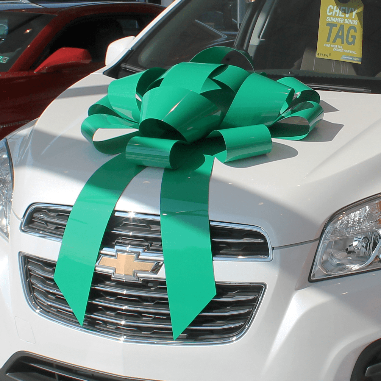 Buy Big Car Bows, Car Bonnet Bows - Arrive Ready To Use