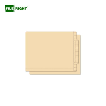 Plain Extended Tab File Folders