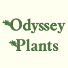 Odyssey Plants