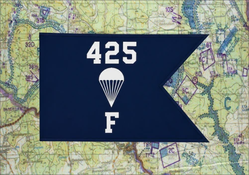Company F 425th Infantry Long Range Surveillance Michigan National Guard embroidered military guidon made in the USA