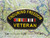 Enduring Freedom Veteran Cap Pin