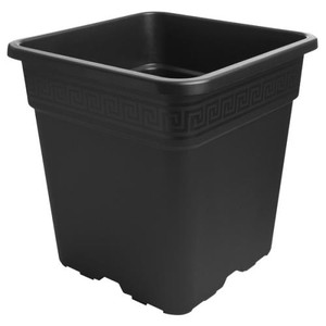 Gro Pro Black Square Pot 8 Gallon Gro Pro Black Square Pot 8 Gallon
