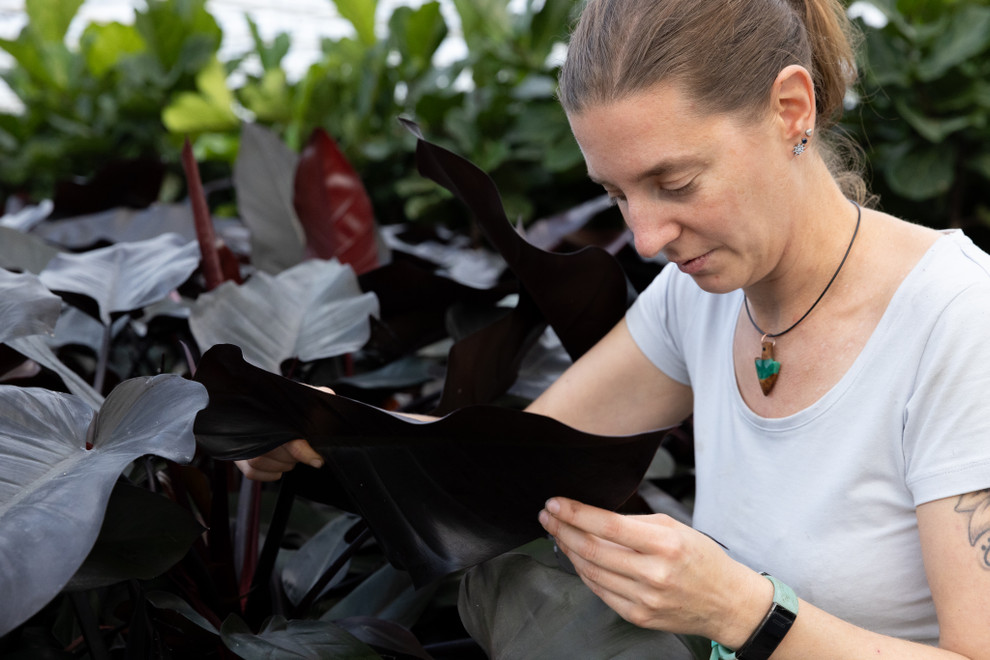 Tips and Tricks for Scouting in Integrated Pest Management (IPM)