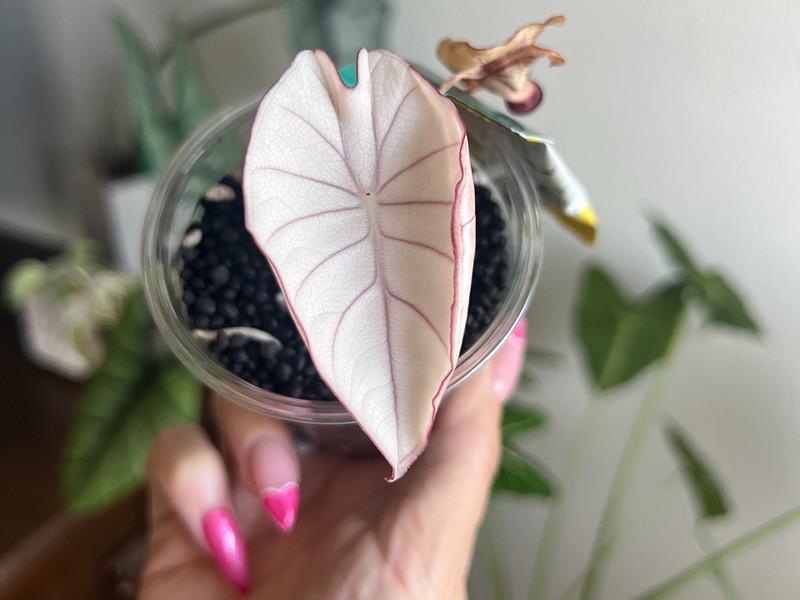 Spring Means New Beginnings