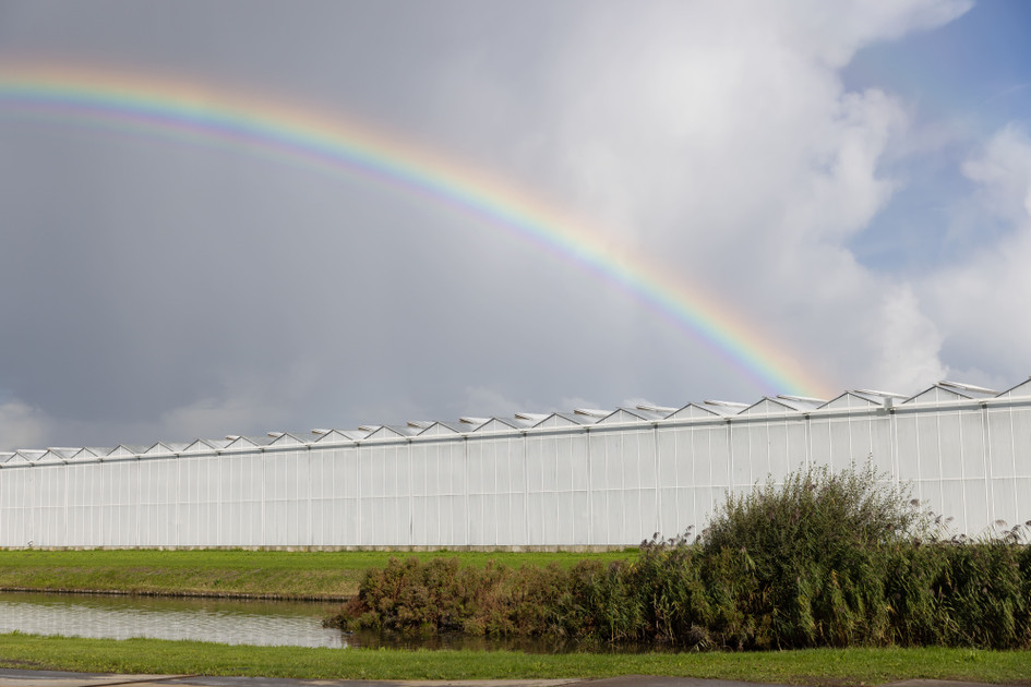 The Modern Grower’s Introduction to Biological Control: How Today’s IPM Systems Work